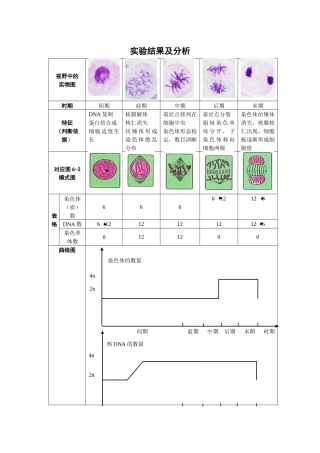 课堂归纳（实验结果的分析）
