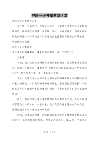 寿险分会开幕致辞5篇