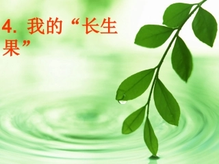 我的“长生果”