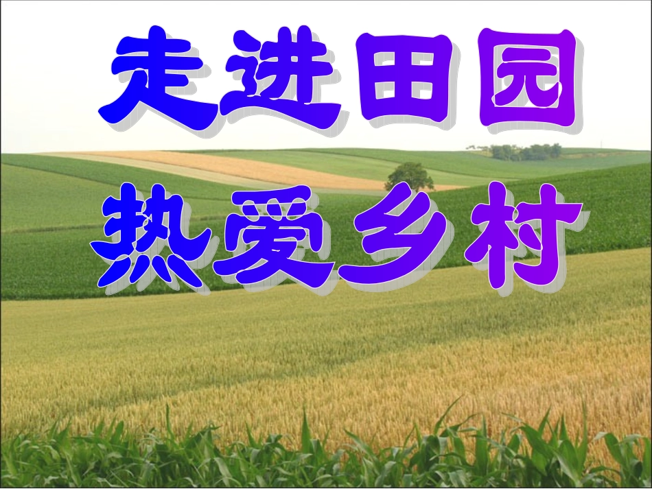 人教版语文四年级第六单元习作_第2页