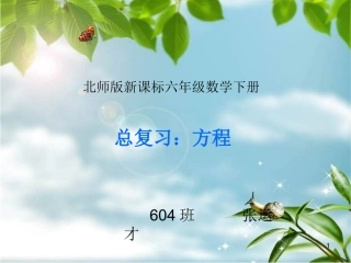 新课标北师版六年级数学下册《总复习-式与方程PPT课件》