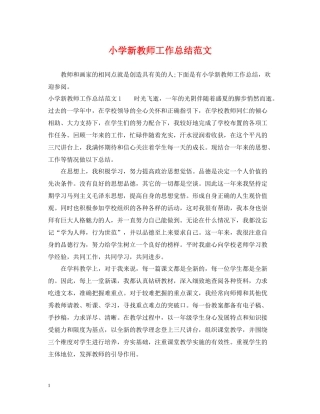 小学新教师工作总结范文
