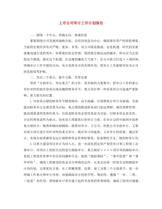 上市公司审计工作计划报告 