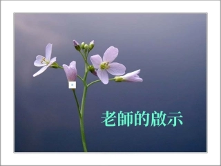 一个老师的启示