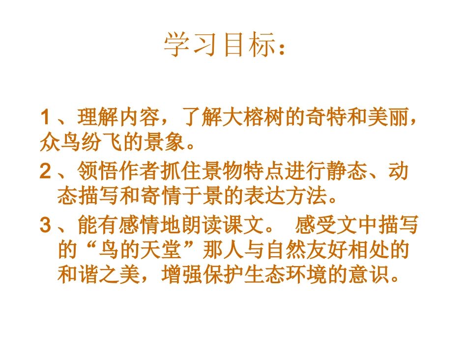 《鸟的天堂》课件2x（上传）_第2页