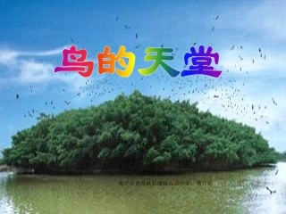 《鸟的天堂》课件2x（上传）