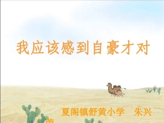 《我应该感到自豪才对》课件
