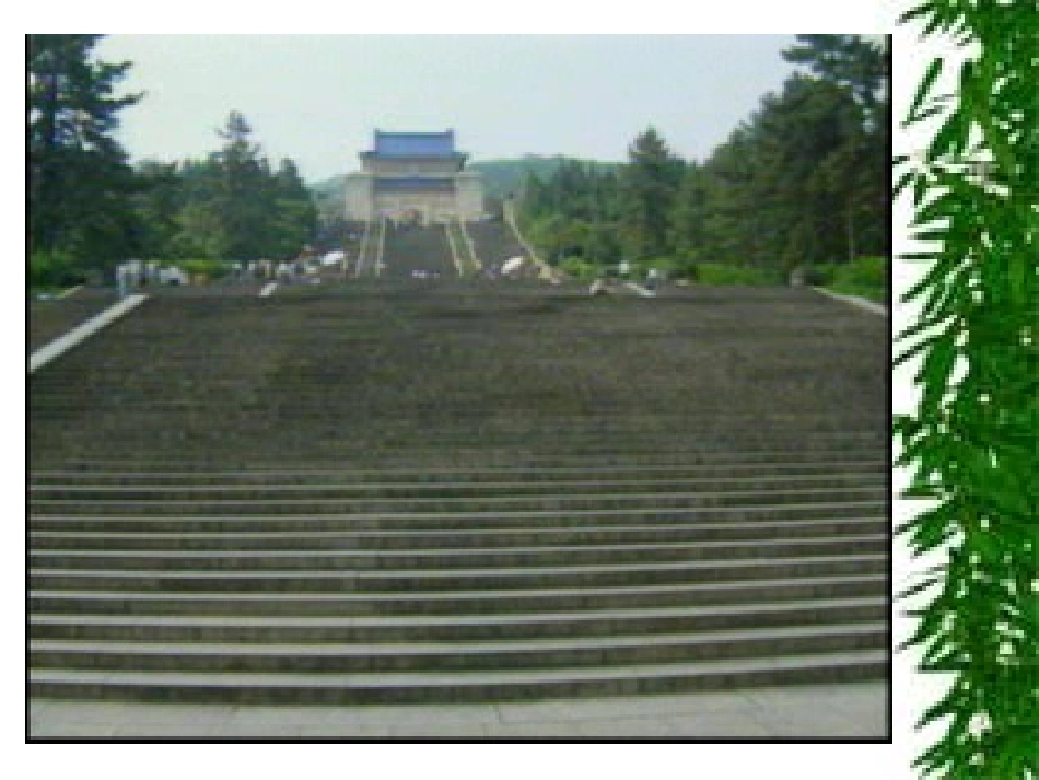 历史：《辛亥革命》_第2页