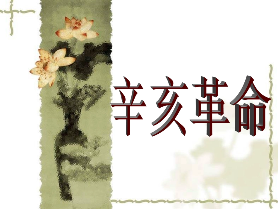 历史：《辛亥革命》_第3页