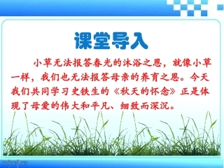 秋天的怀念（主课件）