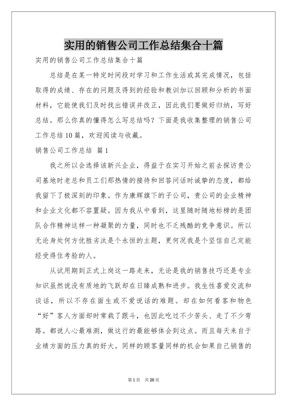 实用的销售公司工作参考总结集合十篇_第1页