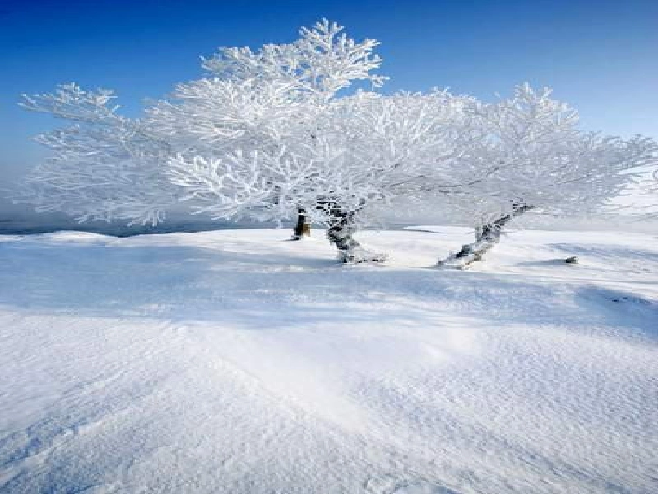 《雾凇》课件 (3)_第2页