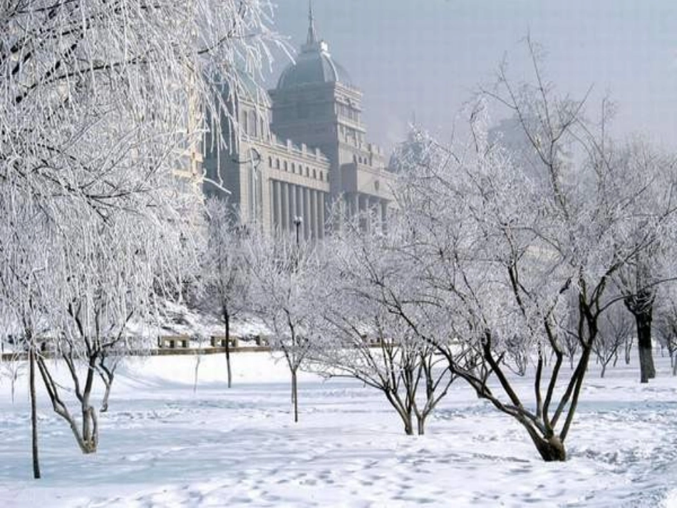 《雾凇》课件 (3)_第3页