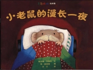 小老鼠的漫长一夜