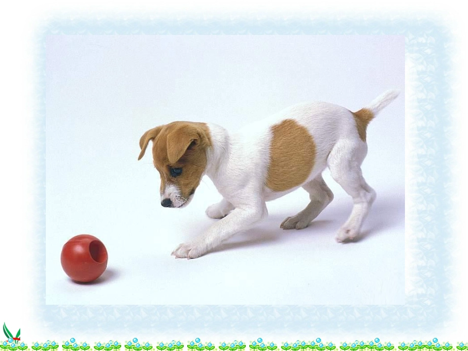 (外研版)五年级英语上册课件-Module-7-Unit-1(2)_第3页