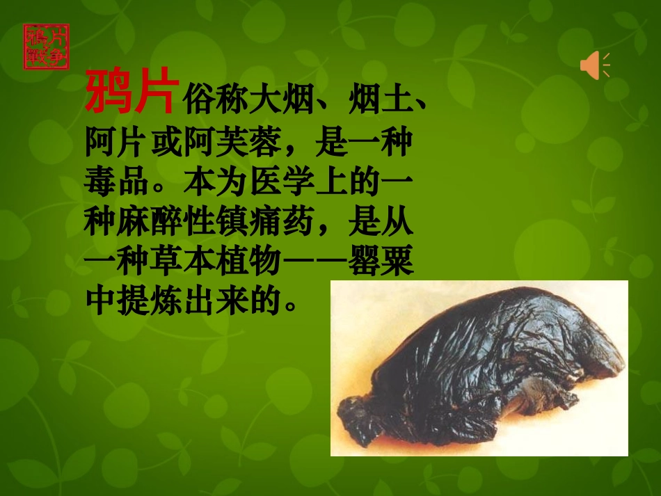 鸦片战争课件 (2)_第2页