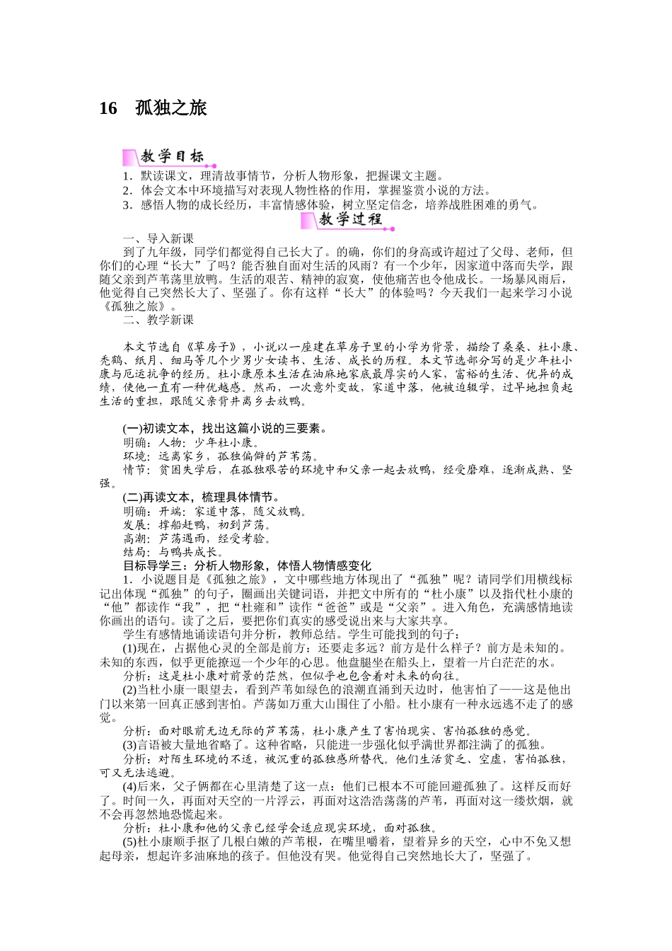 孤独之旅 ()_第1页