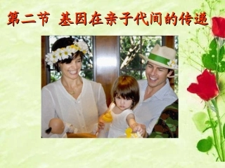 生物八年级下人教版722基因在亲子代间的传递