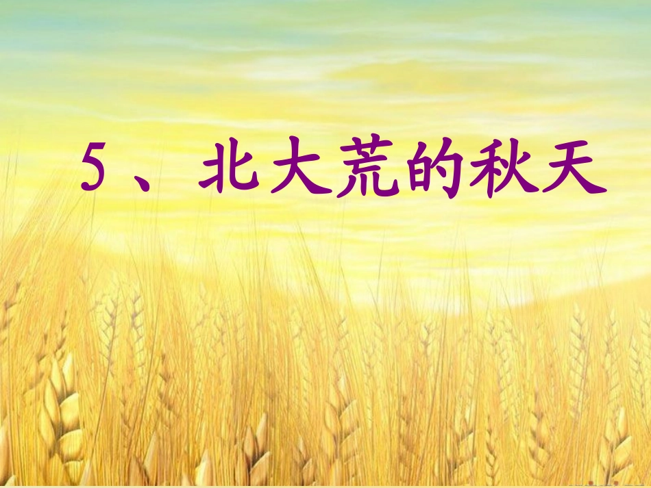 、北大荒的秋天-完美版_第1页