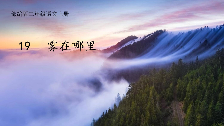 《雾在哪里》上传资源_第1页