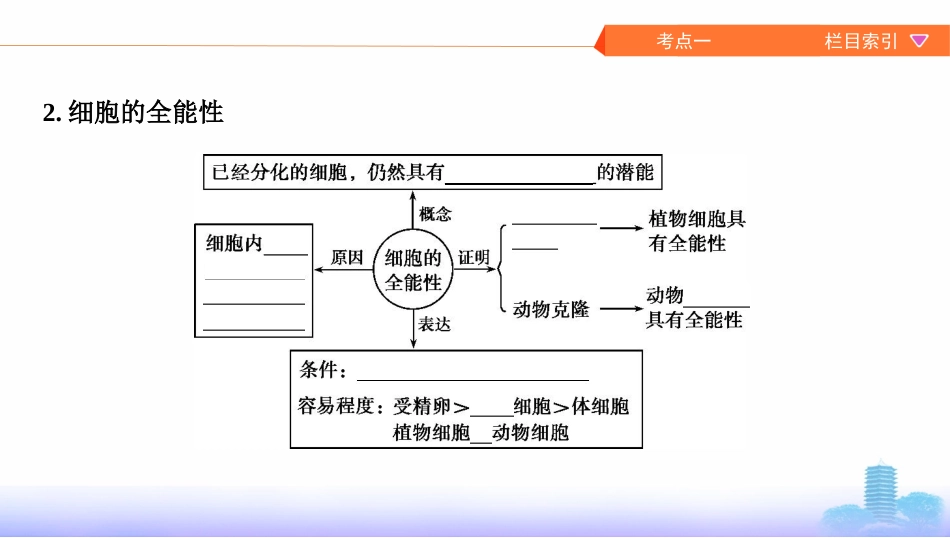 第12讲　细胞的分化、衰老、凋亡与癌变_第3页