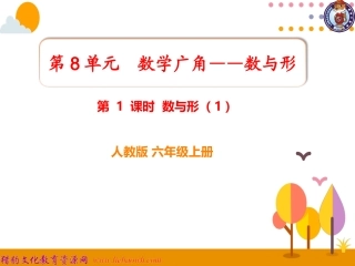 第1课时数与形（1） (2)