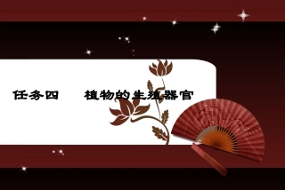 任务四植物的生殖器官