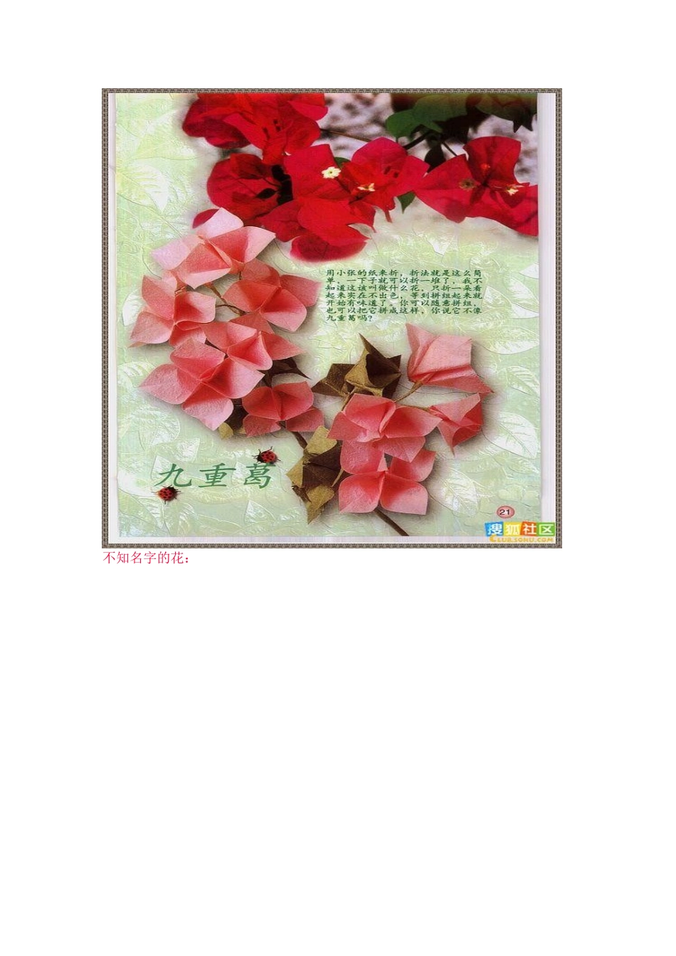 最全的各种花的折纸方法_第3页