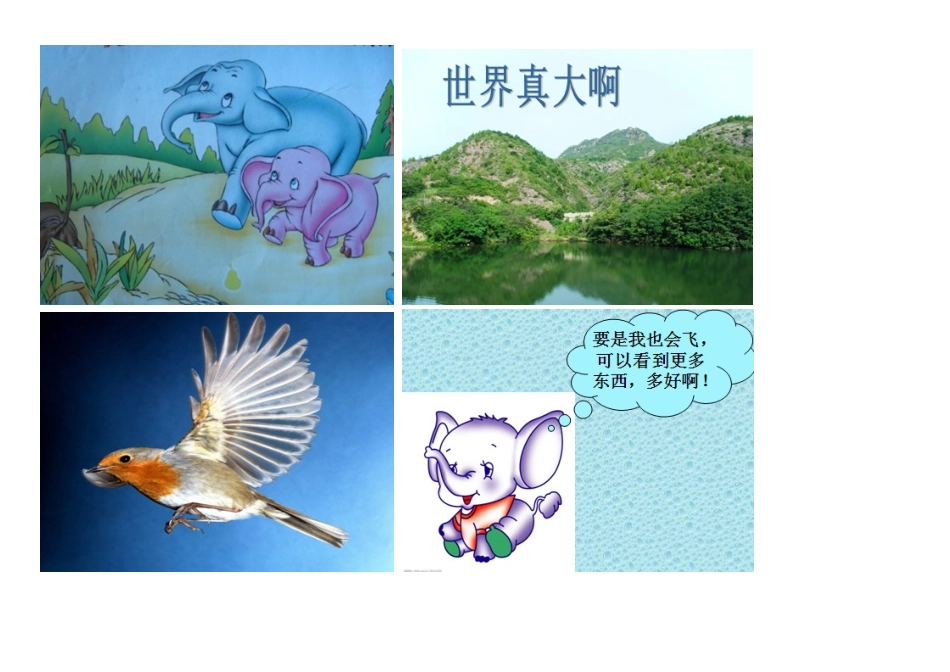 想飞的小象PPT_第2页