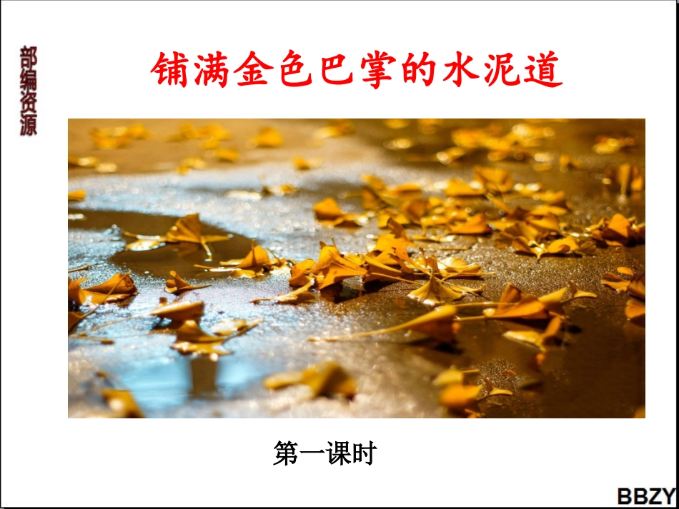 第5课《铺满金色巴掌的水泥道》课件1第1课时_第1页