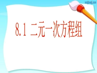 二元一次方程组 ()