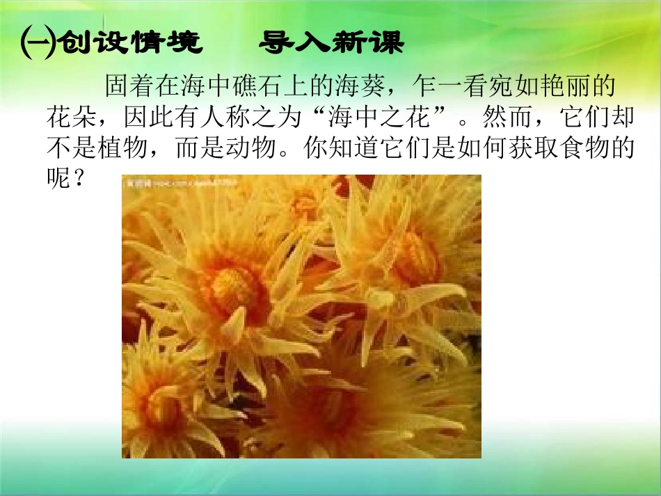 第一节腔肠动物和扁形动物_第2页