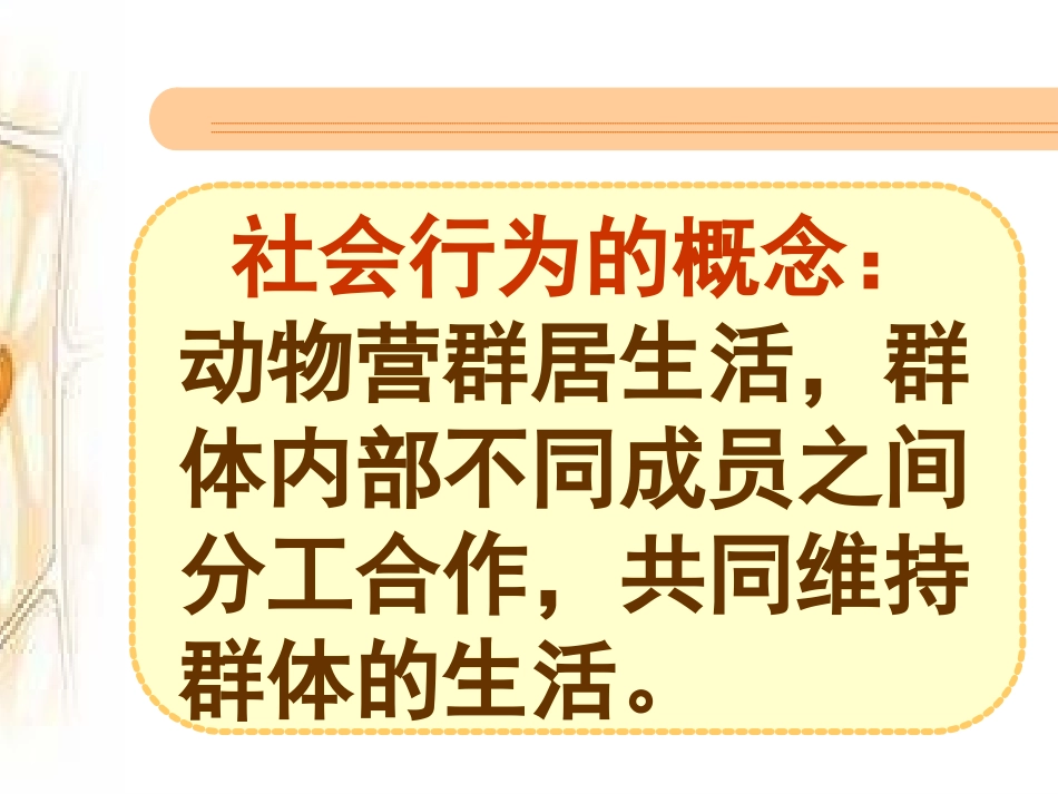 第三节社会行为_第3页