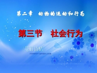 第三节社会行为