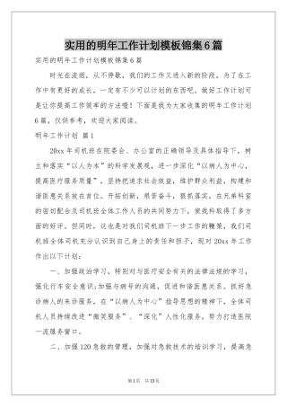 实用的明年工作参考计划模板锦集6篇