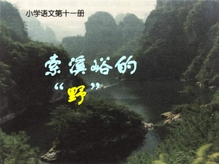 索溪峪的野课件(PPT_9页)