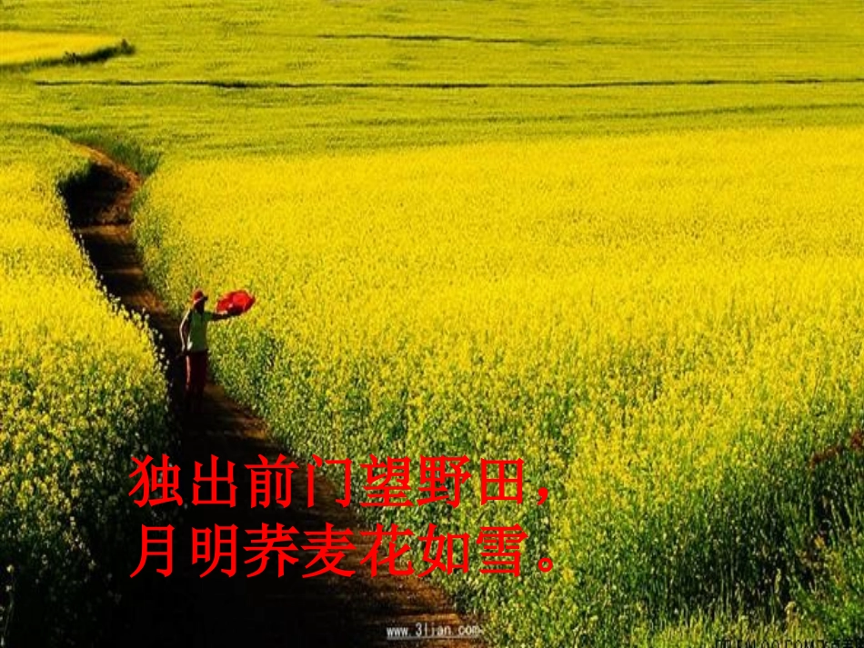 乡下人家 ()_第2页