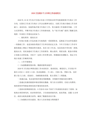 卫生统计个人年终工作总结范文