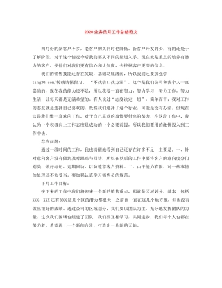 业务员月工作总结范文