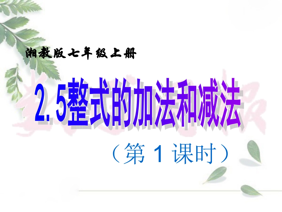 整式的加法和减法（第课时）_第2页