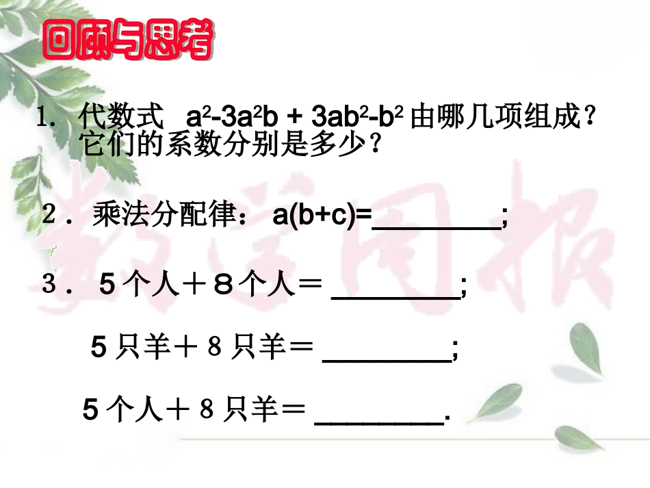 整式的加法和减法（第课时）_第3页