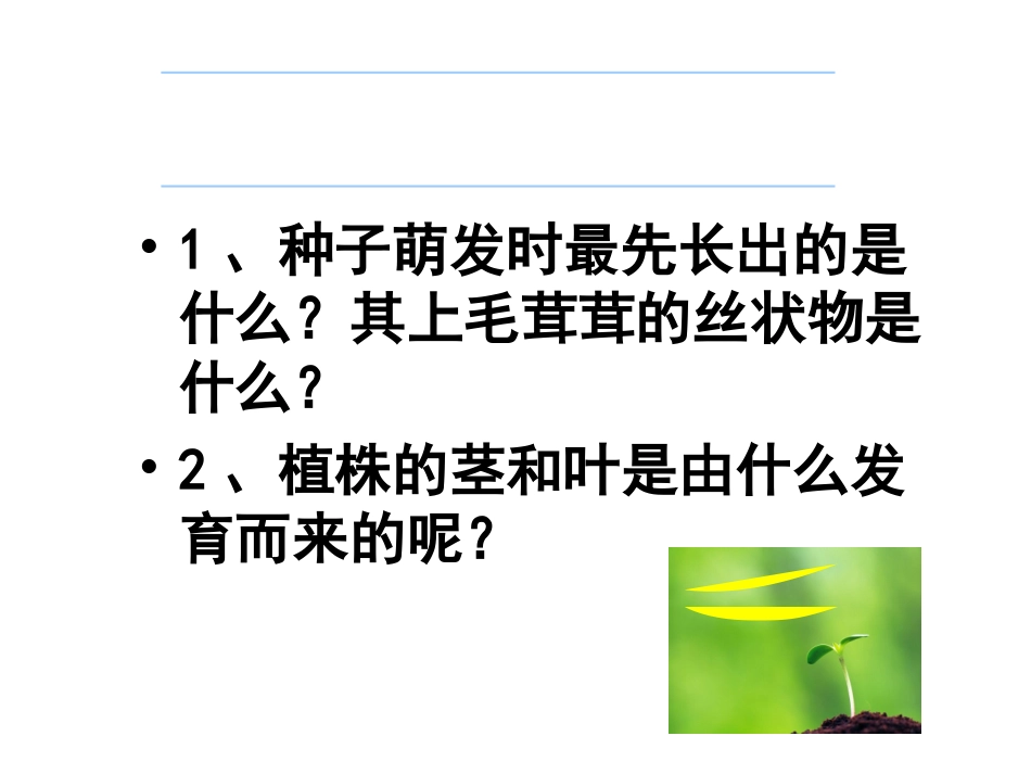 第三单元第二章第二节植株的生长课件新人教版_第3页