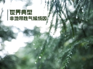 气候类型与成因