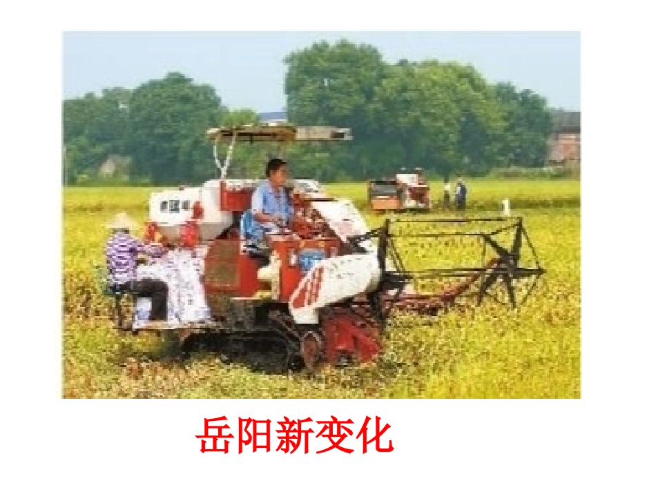 思品二年级我家门前新事多_第3页
