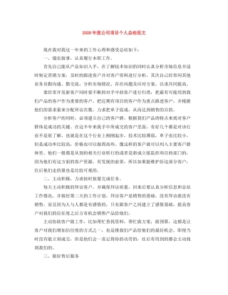 2020年度公司项目个人总结范文