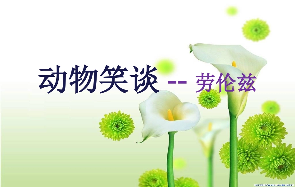吕月桃动物笑谈_第1页