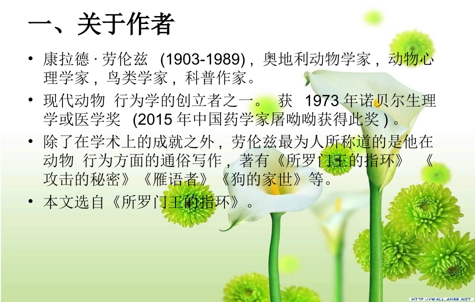 吕月桃动物笑谈_第3页