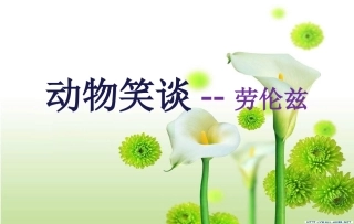 吕月桃动物笑谈