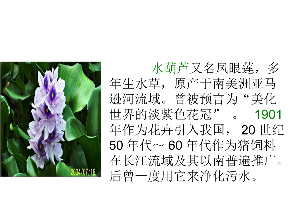 《生物入侵者》_第3页