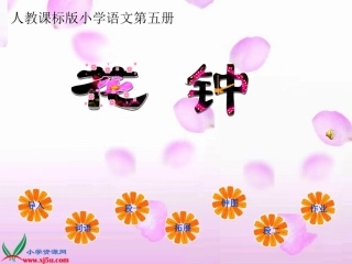 《花钟》第一课时